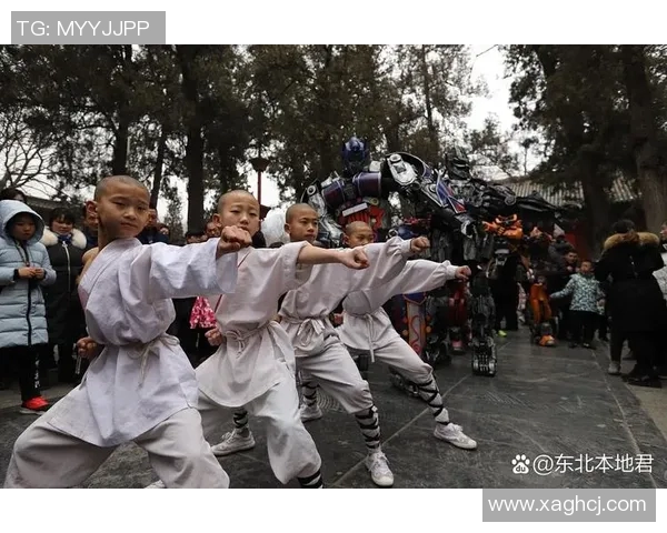 精武门与传统武术的碰撞与传承探讨之旅